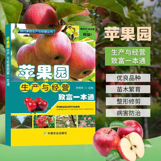 苹果园生产与经营致富一本通 商品图0