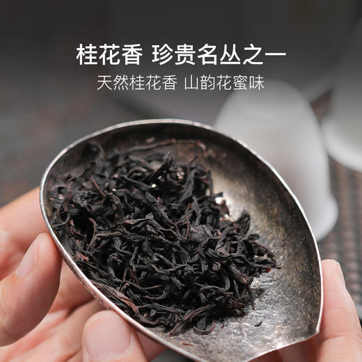 茶中香水，传统中火炭焙 桂花香单丛50g/罐 商品图1