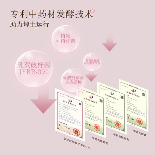 【杏林方记】赤小豆五指毛桃发酵饮 商品图3