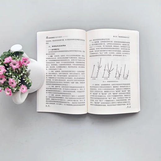 果树修剪知识与技术【官方正版，可开发票，下单时留开票信息和电子邮箱】 商品图2