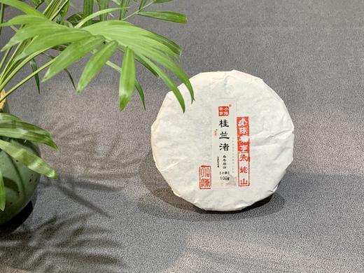 【好茶来了】花香更艳，2024春寿眉饼《小桂兰渚》（100克），香氛满怀、兰桂齐芳 商品图1