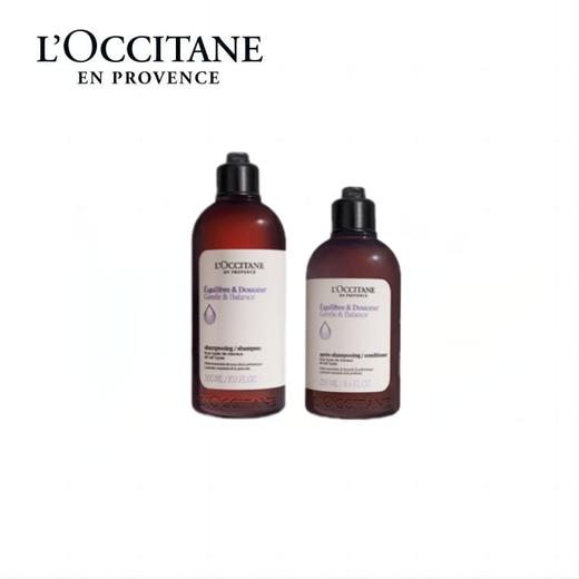 【欧舒丹套组】【新品】B1F 草本菁纯平衡洗发水300毫升+平衡护发素250毫升 商品图0