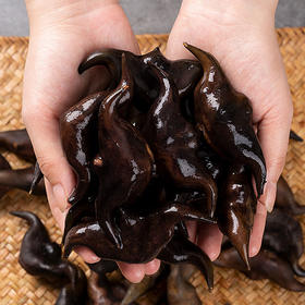 【严选】洪湖新鲜采摘老菱角3斤/5斤 （厂家直发）