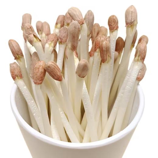 【HFS】花生芽 200g/份 太平海农业 商品图3