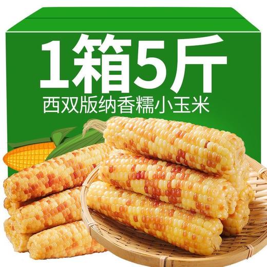 5斤实惠装【元气早餐！新鲜香糯小玉米】即食花糯玉米，粒粒饱满软糯鲜甜，营养轻食代餐，健康即食早餐加餐低热量宵夜Y 商品图4