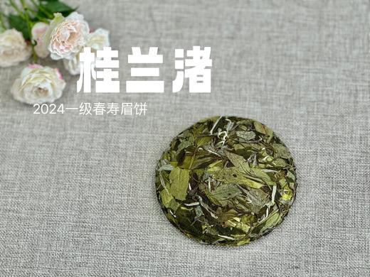 【好茶来了】花香更艳，2024春寿眉饼《小桂兰渚》（100克），香氛满怀、兰桂齐芳 商品图3