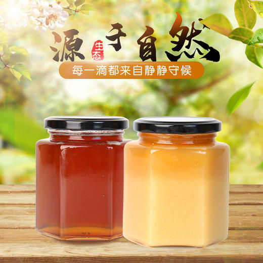土蜂蜜 500g【MC】 商品图3