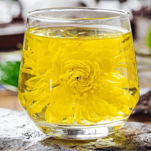 金丝皇菊100朵独立包装【MC】 商品图0