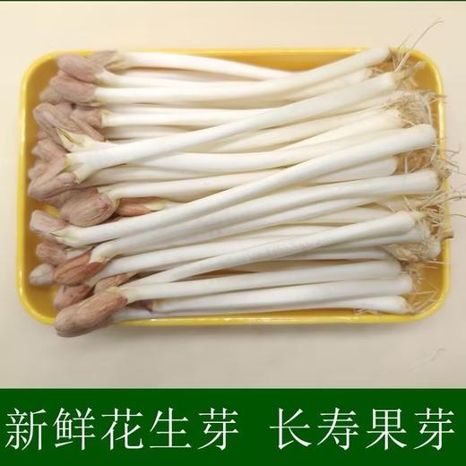 【HFS】花生芽 200g/份 太平海农业 商品图4