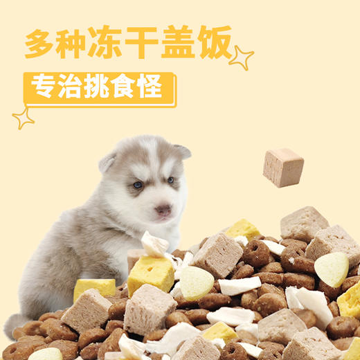 【雷米高】雷米高活力果全价犬奶糕粮肉蛋果蔬五拼主粮正品大袋幼犬冻干狗粮 商品图5