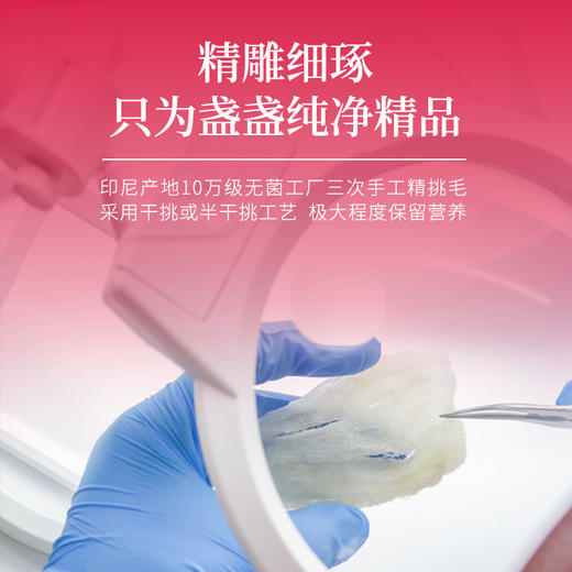 【印尼】夏羽燕印尼干燕窝小盏 30g 商品图2