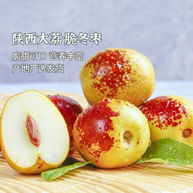 产地直发 | 【枝悦】正宗陕西大荔冬枣 酥脆香甜 脆枣 新鲜水果 整箱