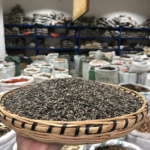 牛蒡子 当季新货 农家生晒 中药材 商品图1