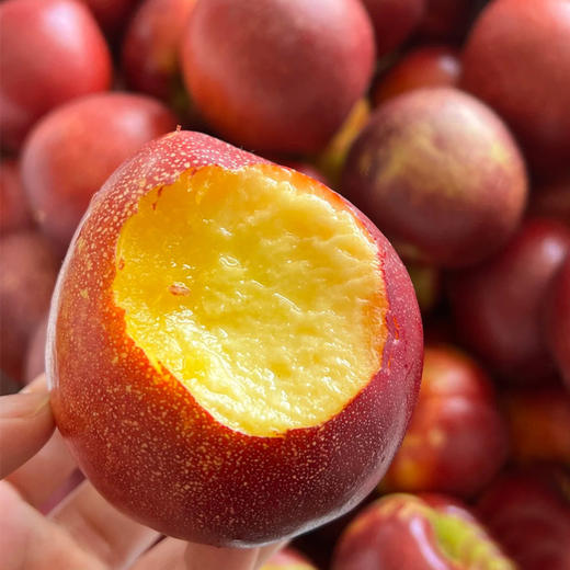 黄金油桃  1000g/份 商品图2