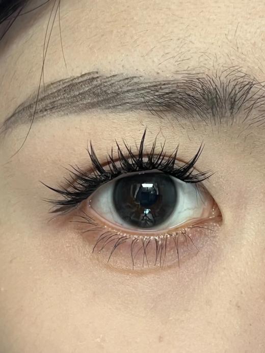 Jellydoll 半年抛 灵动泡泡/夹心奶酪/无辜泪眼 14.2mm 灰/棕/黑 拍下即为一副两片 商品图7