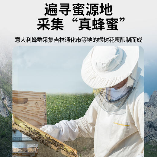 【正宗同仁堂品牌】北京同仁堂 椴树蜂蜜300克 漏斗型瓶装 原料纯粹 拒绝添加 便携易使用SY 商品图2