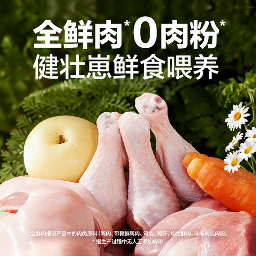 全价三拼鸭肉梨犬粮试吃装120g 商品图3
