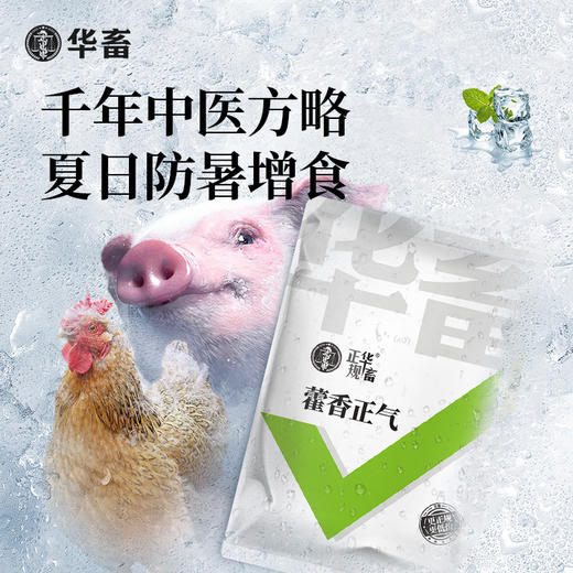 【积分兑换】华畜 藿香正气拌料 兽用降温解暑  猪牛羊抗应激鸡鸭鹅中暑清热 商品图0
