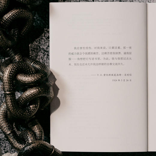 被盯上的男孩：夺回被偷走的童年【北贝】 商品图4