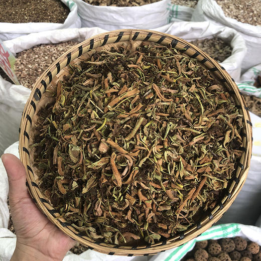 石苇 石伟 当季新货 农家生晒 中药材 商品图0