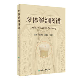 牙体解剖图谱
