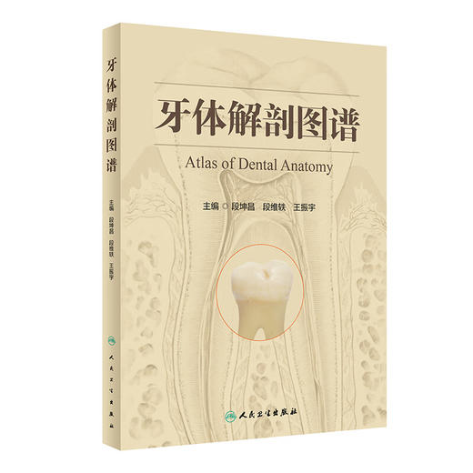 牙体解剖图谱 商品图0