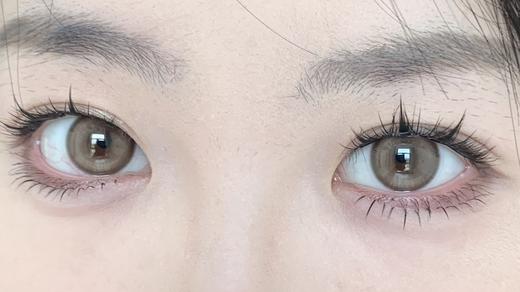 Kaylens半年抛美瞳 半只橙 14.2mm 商品图0