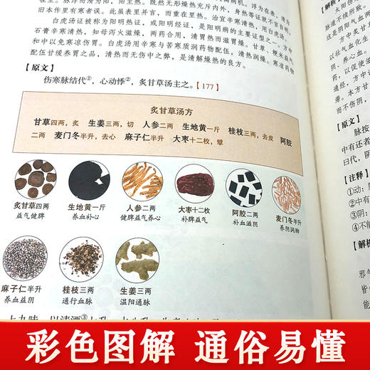 彩色图解伤寒论（布面精装） 中医传世经典，白话彩图典藏版 商品图2