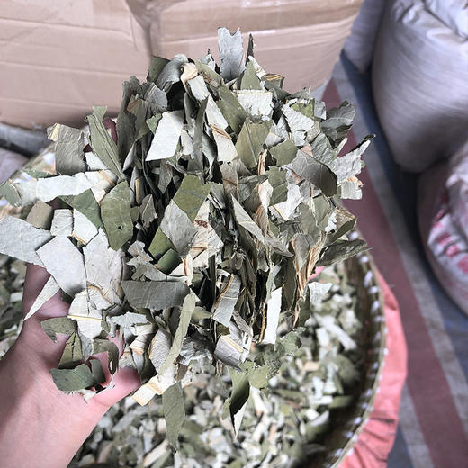 荷叶片 方片 荷叶丝 荷叶茶 当季新货 农家生晒中药材 商品图7