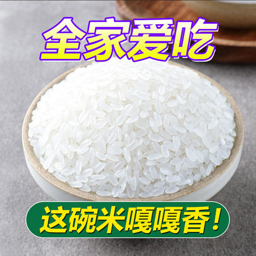群艳寒地长粒香米5kg 商品图1