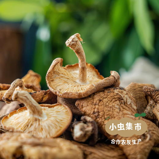 云南野生香菇干 100g/200g | 合作农友生产，来自云南楚雄永仁，生产者：李康丽 *【公平贸易农人定价】 商品图10