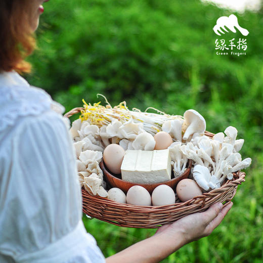 【总仓】单人蔬菇豆蛋体验份额（客服打电话确认后发货） | 绿家自产* EcoFresh Nine | In-House Production 商品图0