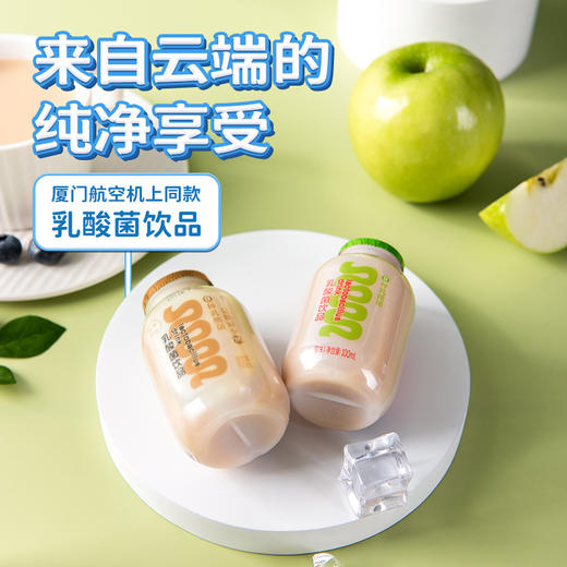 机上同款乳酸菌 商品图0