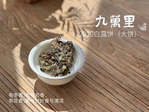 【年份白茶珍藏】5年花期，2020白露茶《九万里》，成了一块枣香与药香并列双姝的年份珍藏 商品图4