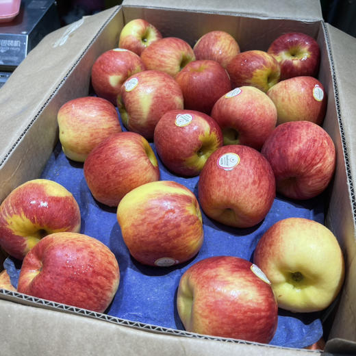 新西兰神仙苹果 商品图0