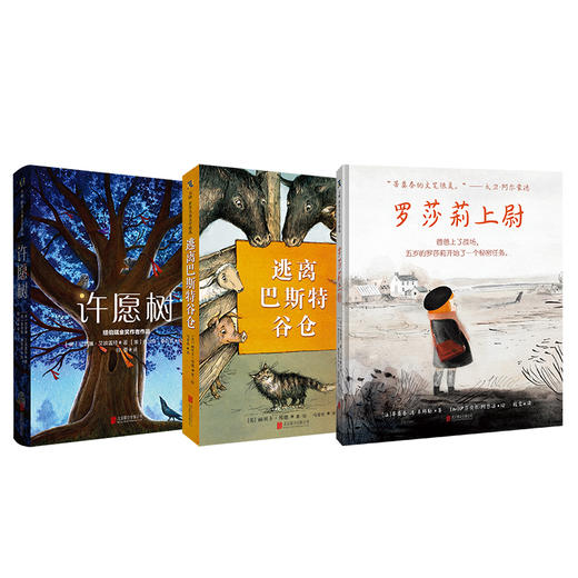 【单册/组合可选】天略图书经典儿童文学组合;麦琪的礼物+许愿树+罗莎莉上尉+逃离巴斯特谷仓+彼得·潘+寻找朱庇特+刻骨 商品图3