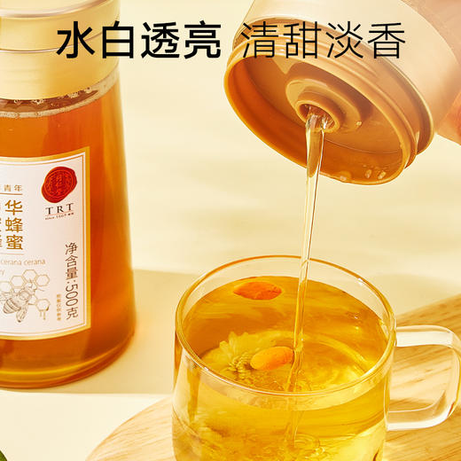 【正宗同仁堂品牌】北京同仁堂 中华蜜蜂蜂蜜500克 漏斗型瓶装 原料纯粹 拒绝添加 便携易使用SY 商品图1