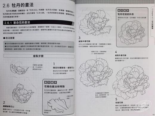 【中商原版】从零开始 实用速写技法课 学习绘画的入门手册 港台艺术原版 张玉红 邦联文化出版 商品图7