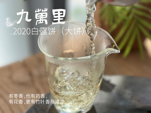 【年份白茶珍藏】5年花期，2020白露茶《九万里》，成了一块枣香与药香并列双姝的年份珍藏 商品图9