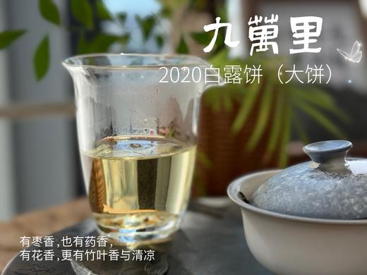 【年份白茶珍藏】5年花期，2020白露茶《九万里》，成了一块枣香与药香并列双姝的年份珍藏 商品图11