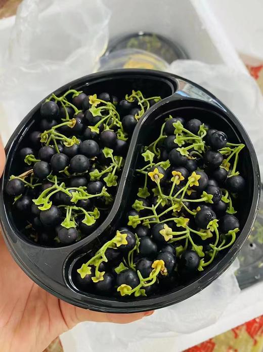 黑悠悠一盒 商品图2