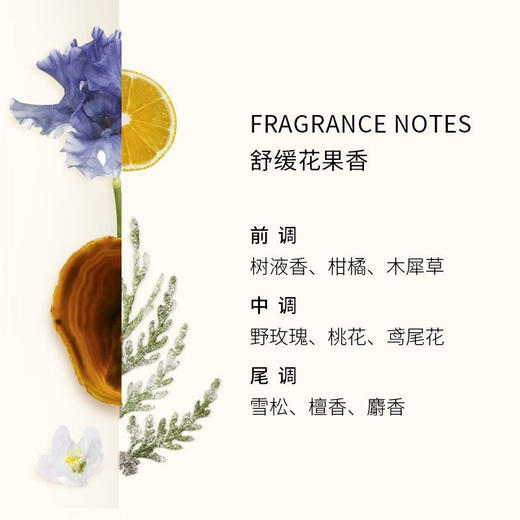 【保税仓】BURBERRY巴宝莉周末女士香水50ml 商品图1