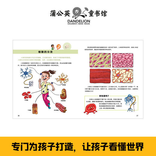 和孩子聊系列(全3册) 商品图3
