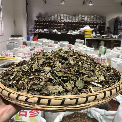 泽兰 当季新货 农家生晒 中药材 商品图1