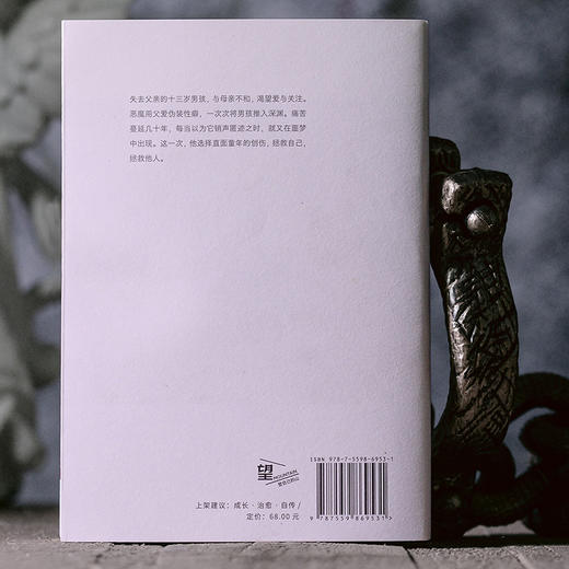 被盯上的男孩：夺回被偷走的童年【北贝】 商品图3