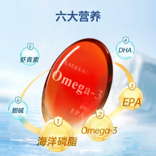 南极磷虾油45克(0.75克x60粒) 1瓶 商品图4