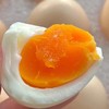 黄四姐富硒鸡蛋30枚/盒 商品缩略图2