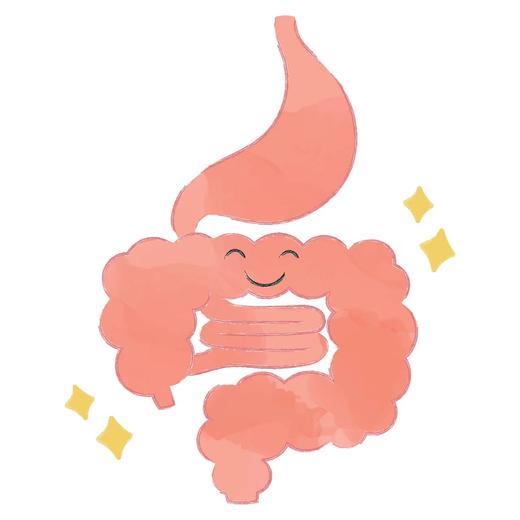 肠健康，才能常健康！ 商品图0