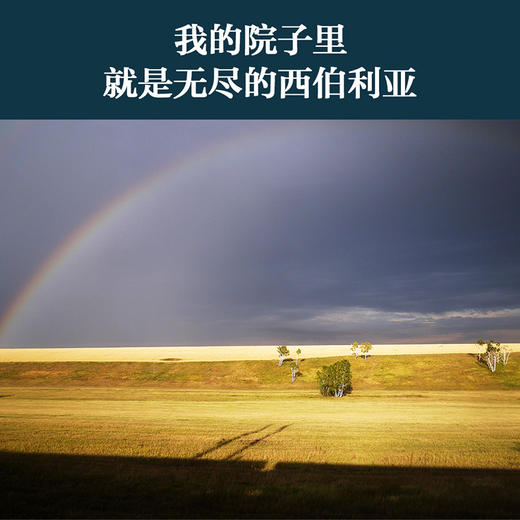 我已与一万亿株白桦相逢（9288公里 西伯利亚铁路纪行） 商品图4