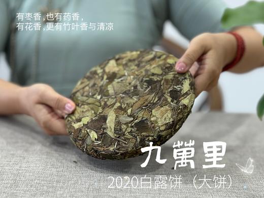 【年份白茶珍藏】5年花期，2020白露茶《九万里》，成了一块枣香与药香并列双姝的年份珍藏 商品图3
